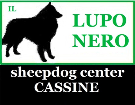 Lupo Nero Sheepdog Center